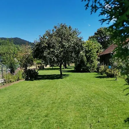 Dans Maison Au Centre Du Village, Commerces Et Commodites Plainfaing